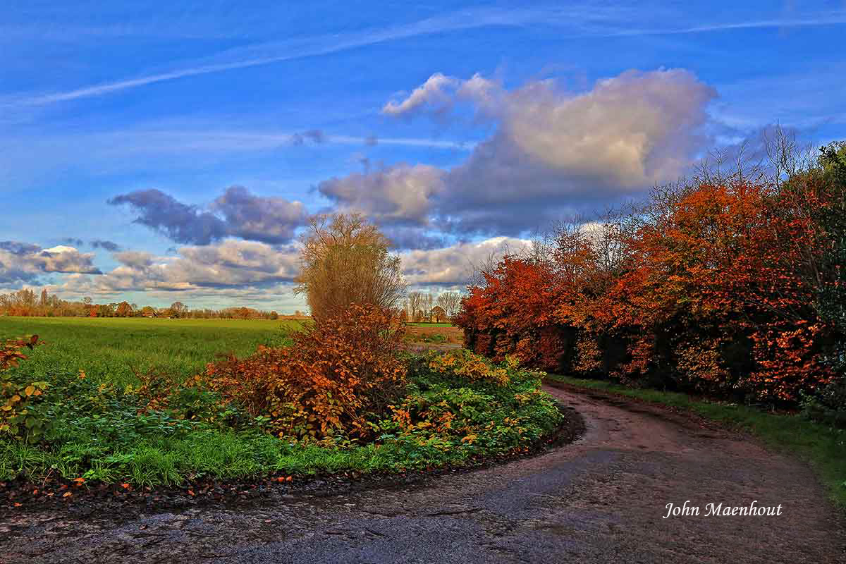 Deze afbeelding heeft een leeg alt-attribuut; de bestandsnaam is 22.11.2024-Wolken-foto.jpg